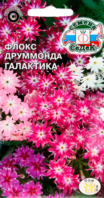 Флокс Друммонда Галактика (звездчатая смесь)
