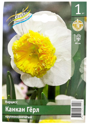 Нарцисс КАНКАН ГЁРЛ крупнокорончатый