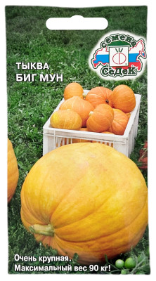Тыква Биг Мун СеДеК