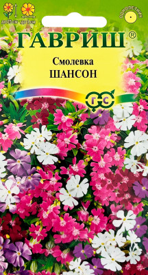 Смолевка силена Шансон смесь ГАВРИШ
