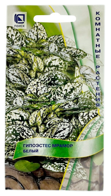 Гипоэстес МРАМОР БЕЛЫЙ ПОИСК