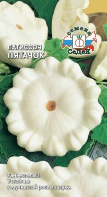 Патиссон Пятачок Седек (Евро 1)