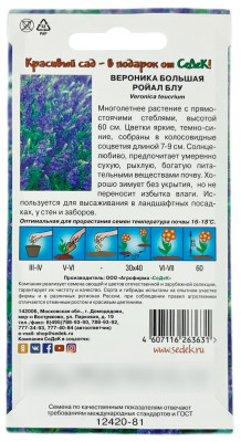 Вероника большая РОЙАЛ БЛУ СеДеК описание