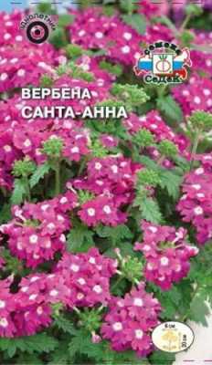 Вербена Санта-Анна (розовая)