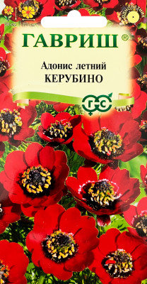 Адонис летний Керубино 0,1г