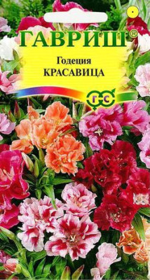 Годеция Красавица, махровая смесь 0,3 г Годеция Красавица, махровая смесь 0,3 г