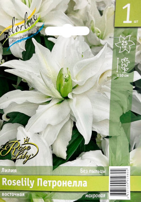Лилия Петронелла (1шт)