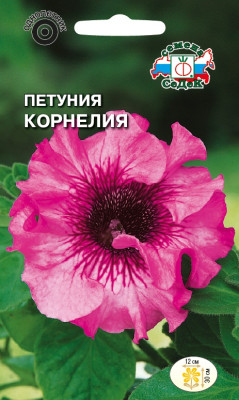 Петуния Корнелия превосходная бордовая махровая