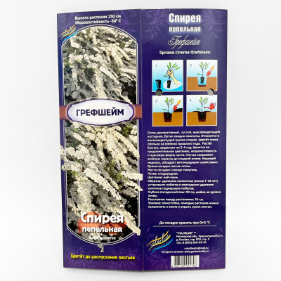 Спирея пепельная Грефшейм (Spiraea x cinerea Grefsheim) описание