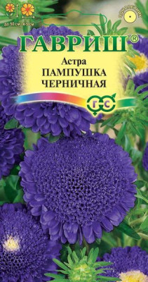Астра Пампушка черничная 0,3г (помпонная ) Астра Пампушка черничная 0,3г (помпонная )