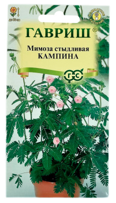 Мимоза стыдливая Кампина ГАВРИШ