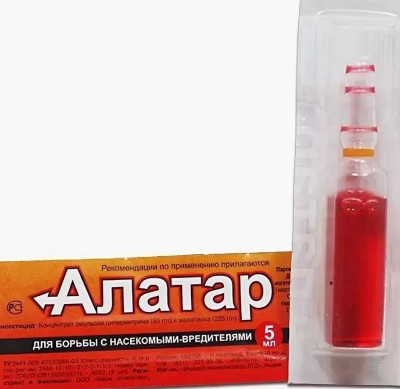 Алатар 5мл ампула