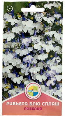 Лобелия ривьера блю сплаш АКВАРЕЛЬ