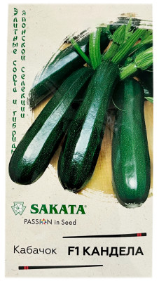Кабачок КАНДЕЛА F1 ГАВРИШ