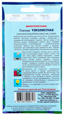 Лаванда Узколистная АКВАРЕЛЬ описание