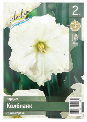 Нарцисс сплит-корона КОЛБЛАНК