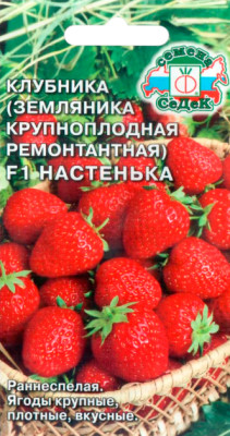Земляника Настенка F1 ремонтантная крупноплодная (клубника) (Евро 15)