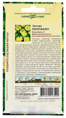 Энотера двулетняя Пиноккио ГАВРИШ описание