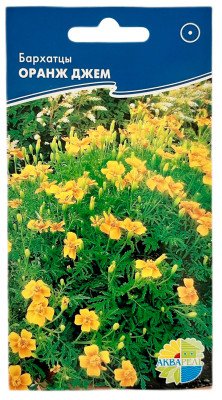 Бархатцы ОРАНЖ ДЖЕМ АКВАРЕЛЬ