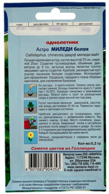 Астра МИЛЕДИ белая АКВАРЕЛЬ описание