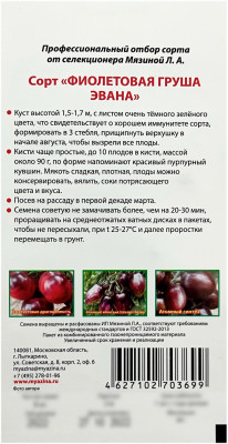 Томат ФИОЛЕТОВАЯ ГРУША ЭВАНА Любовь Мязина описание