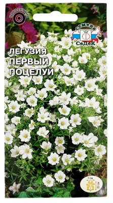 Легузия Первый поцелуй СеДеК