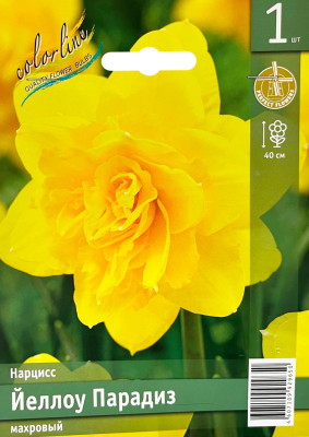 Нарцисс Йеллоу Парадиз махровый