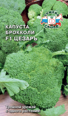 Капуста Цезарь F1 (брок.) Капуста Цезарь F1 (брок.)