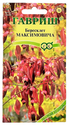 Бересклет МАКСИМОВИЧА ГАВРИШ