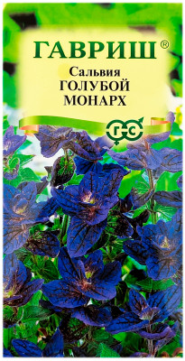 Сальвия ГОЛУБОЙ МОНАРХ ГАВРИШ