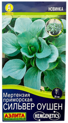 Мертензия приморская СИЛЬВЕР ОУШЕН АЭЛИТА