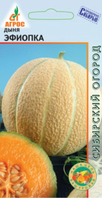 Дыня Эфиопка 10шт