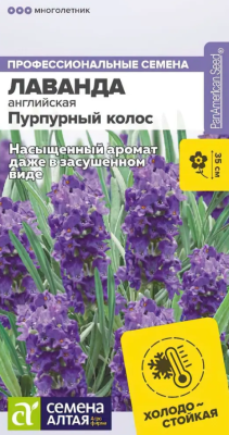 Лаванда английская Пурпурный колос 5шт