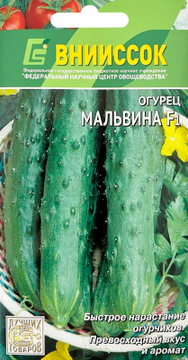Огурец Мальвина F1 10шт