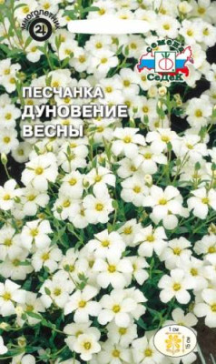 Песчанка Дуновение Весны горная белая