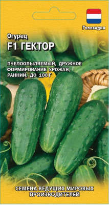 Огурец Гектор F1 10 шт. (Голландия) Н19