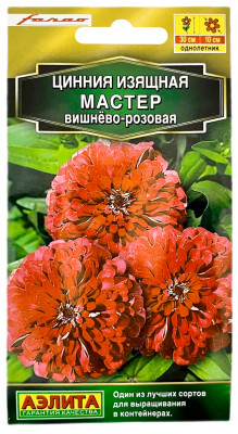 Цинния изящная МАСТЕР ВИШНЁВО-РОЗОВАЯ АЭЛИТА
