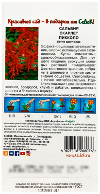 Сальвия СКАРЛЕТ ПИККОЛО СеДеК описание