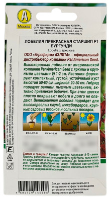 Лобелия прекрасная старшип БУРГУНДИ АЭЛИТА описание