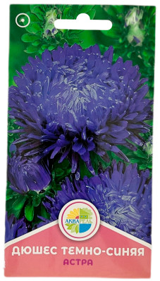 Астра Дюшес темно-синяя АКВАРЕЛЬ