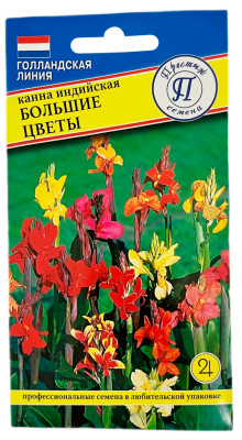 Канна индийская Большие цветы ПРЕСТИЖ