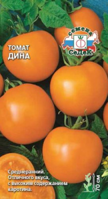 томат Дина