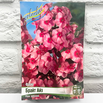 Флокс БРАЙТ АЙЗ