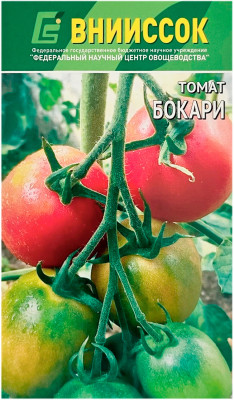 Томат БОКАРИ ВНИИССОК