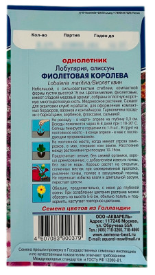 Лобулярия ФИОЛЕТОВАЯ КОРОЛЕВА АКВАРЕЛЬ описание