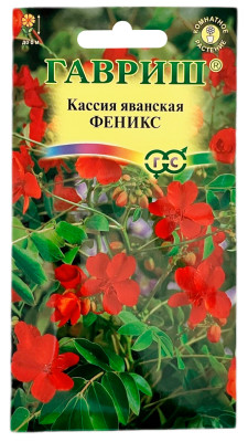 Кассия яванская ФЕНИКС ГАВРИШ