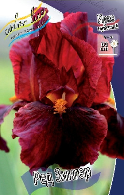 Ирис Ред Зингер (1шт) 4132