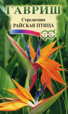 Стрелиция Райская Птица 3шт.