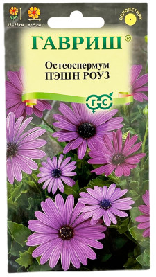 Остеоспермум Пэшн роуз ГАВРИШ