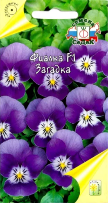 Фиалка Загадка